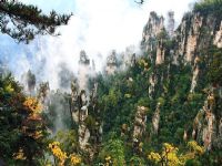 ��ҽ��L��