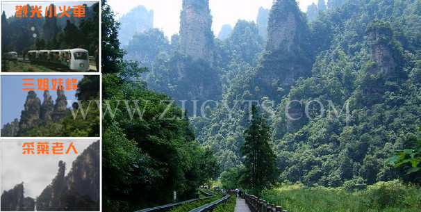 ʮ�ﮋ(hu��)��